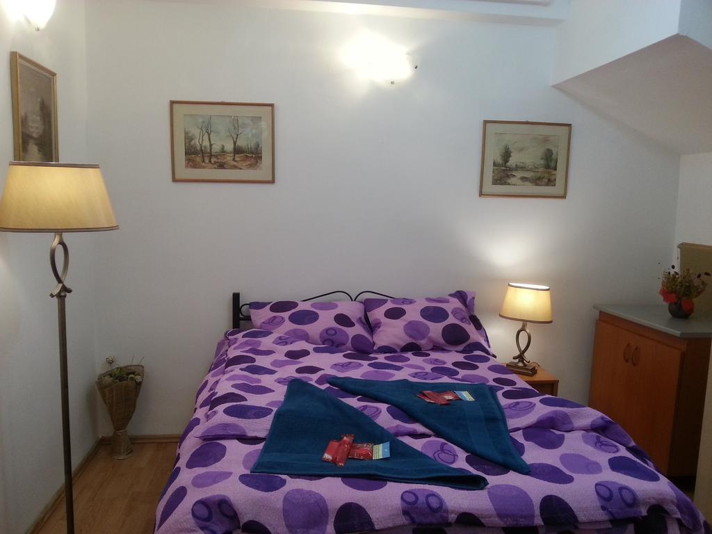 Center Park Apartment Клуж-Напока Номер фото