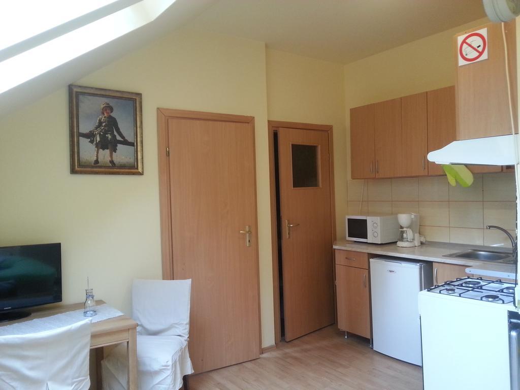 Center Park Apartment Клуж-Напока Номер фото
