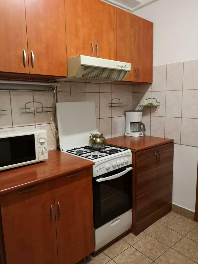 Center Park Apartment Клуж-Напока Екстер'єр фото